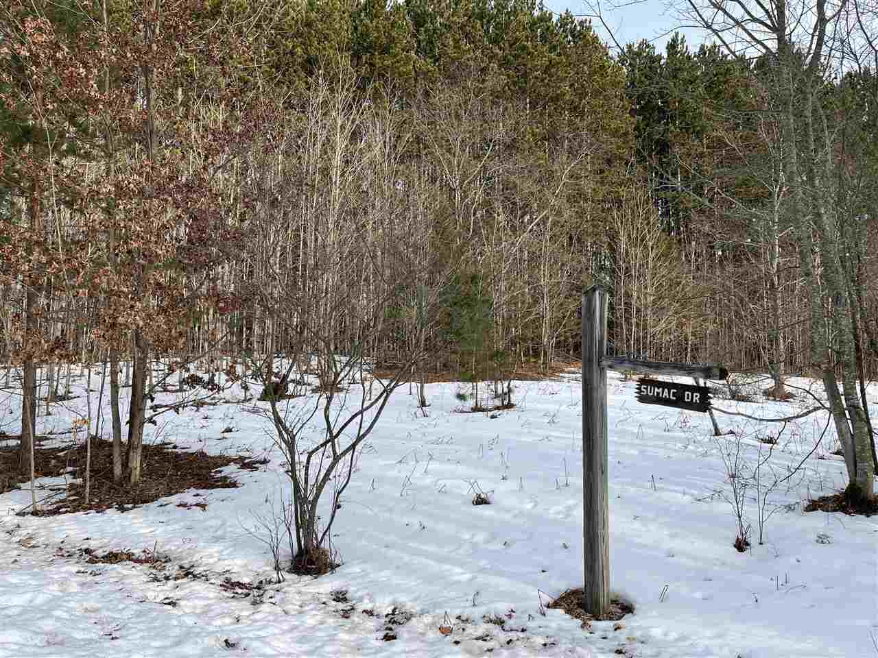 Sumac Drive Harbor Springs MI 49740-0000