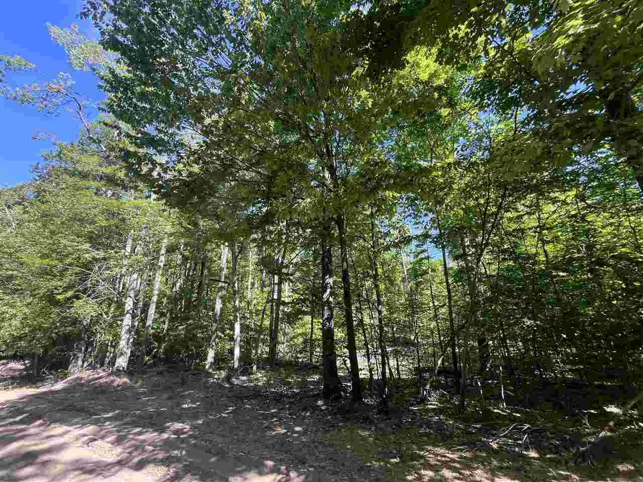 Tbd Matz Road Boyne Falls MI 49713