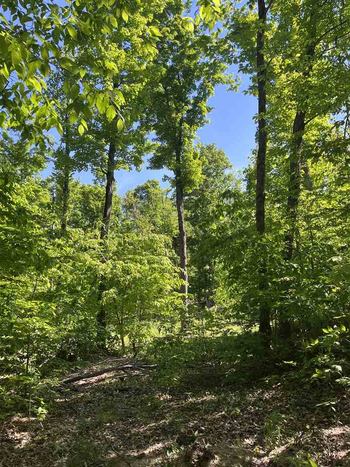 Tbd Matz Road Boyne Falls MI 49713