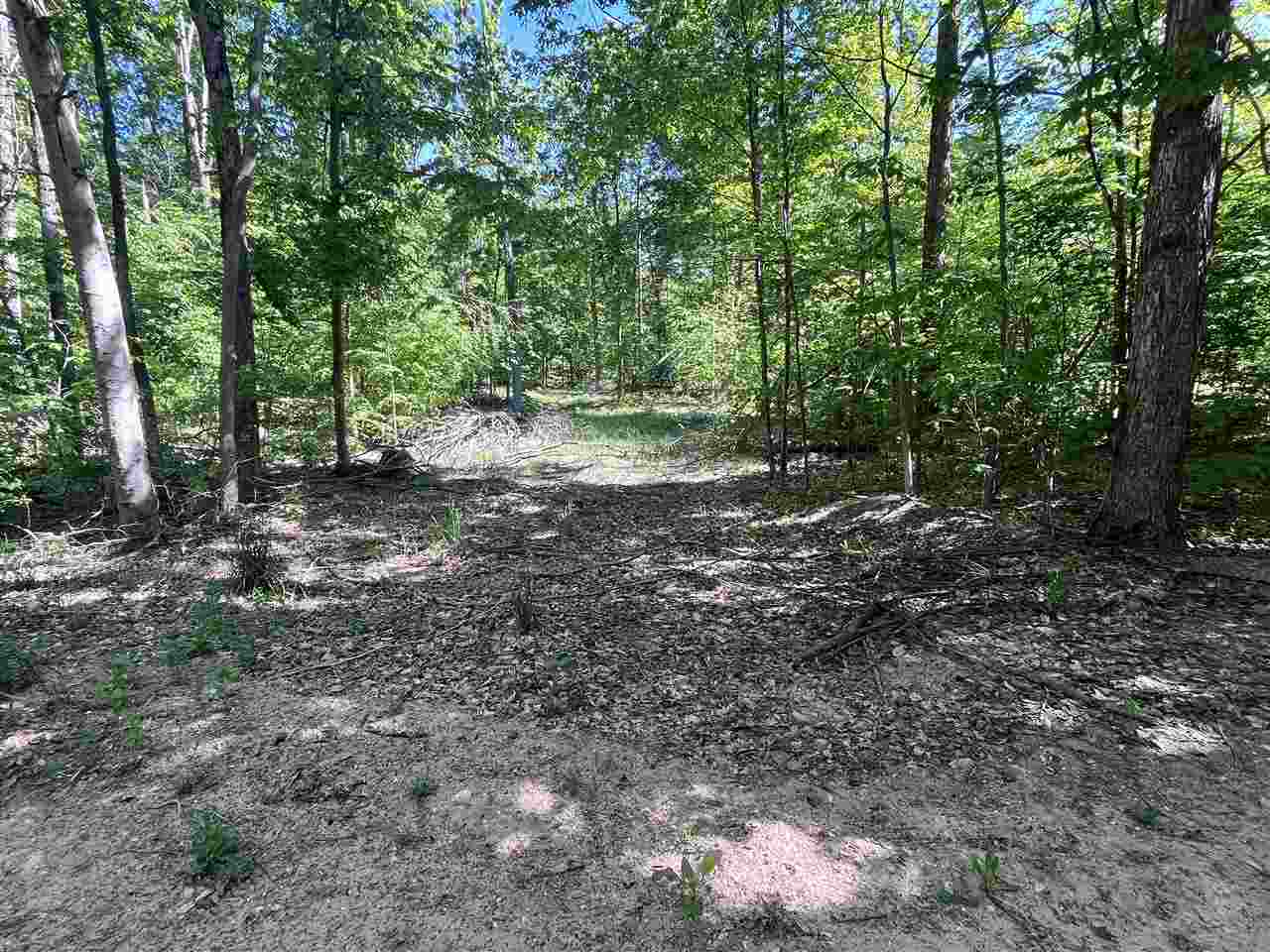 Tbd Matz Road Boyne Falls MI 49713