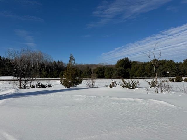 3600 S Us 131 Boyne Falls MI 49713
