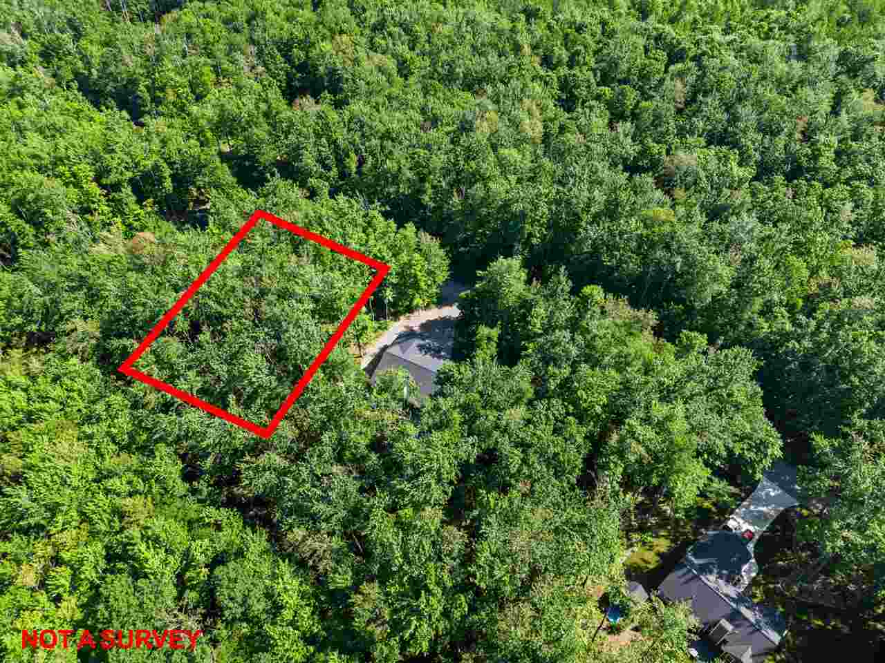 8671 Springridge Drive Petoskey MI 49770