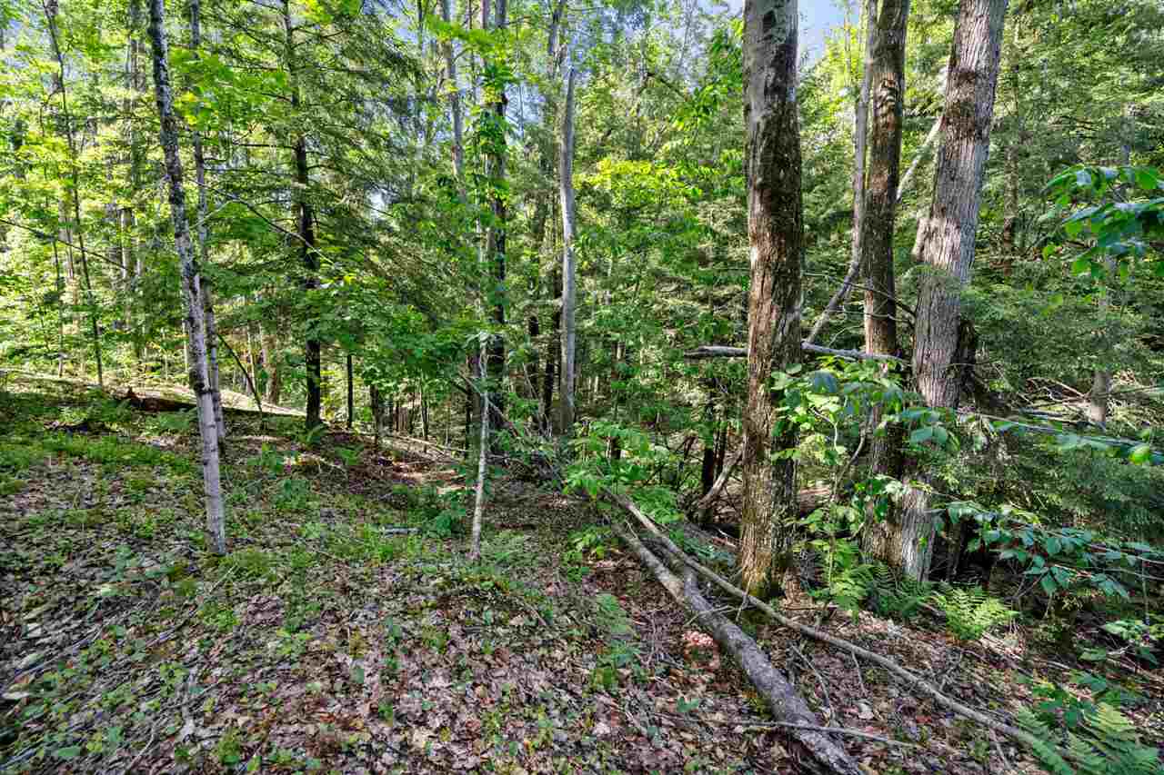 8671 Springridge Drive Petoskey MI 49770