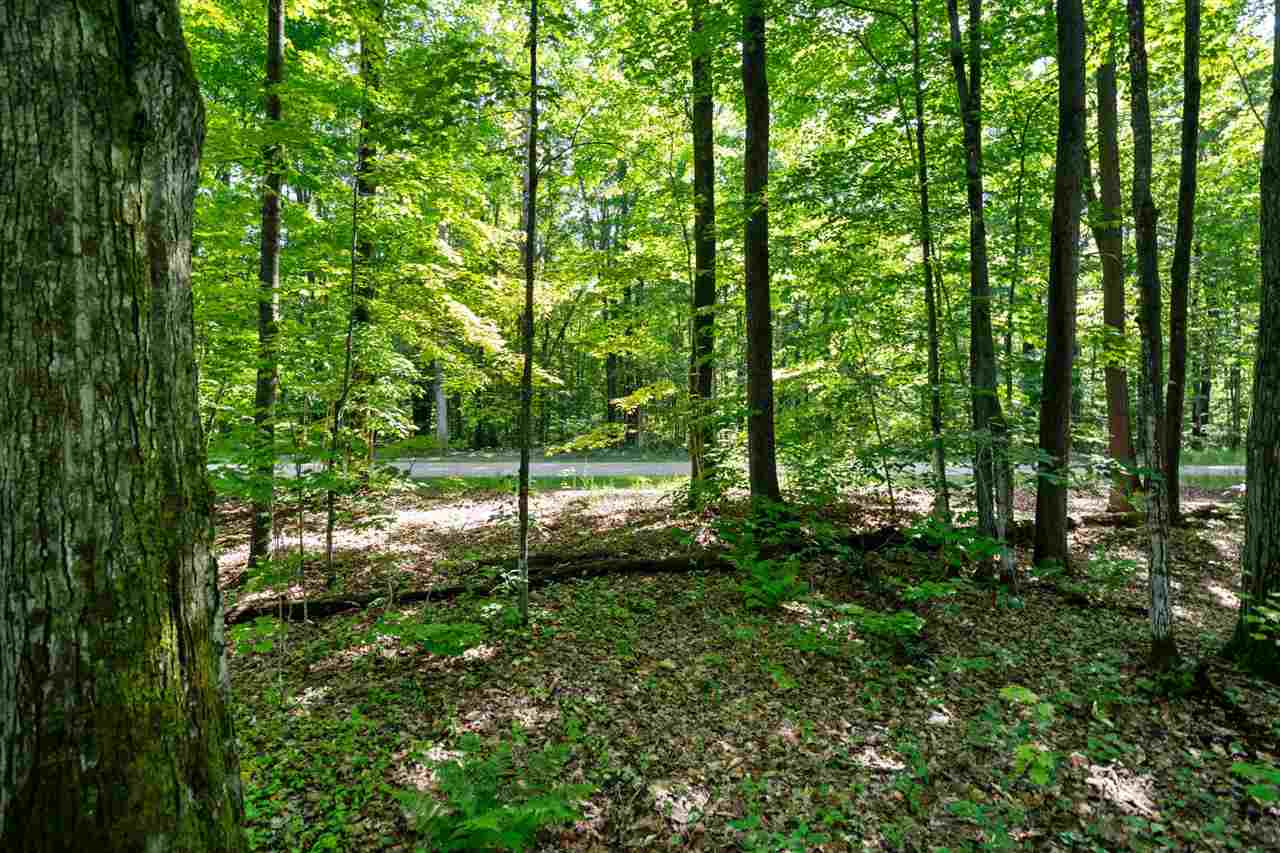 8671 Springridge Drive Petoskey MI 49770