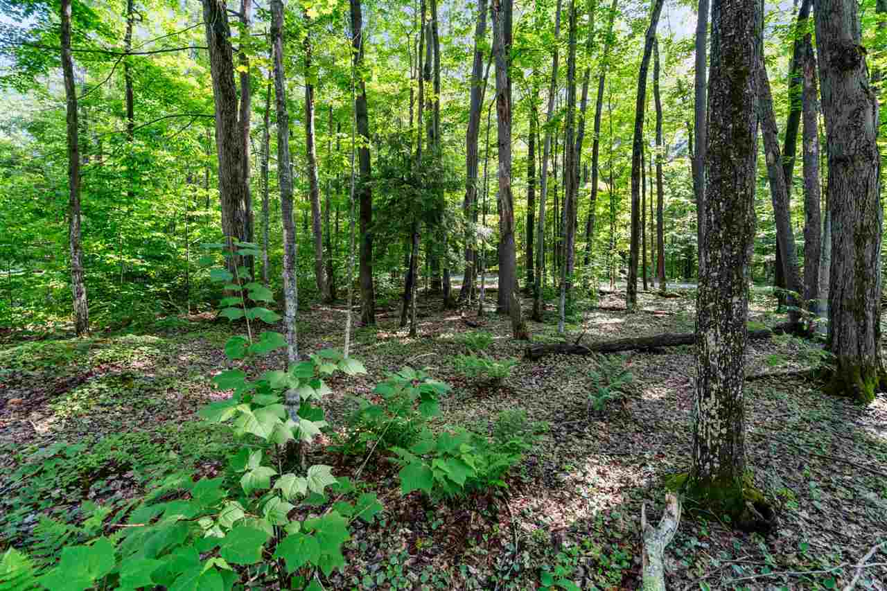 8671 Springridge Drive Petoskey MI 49770