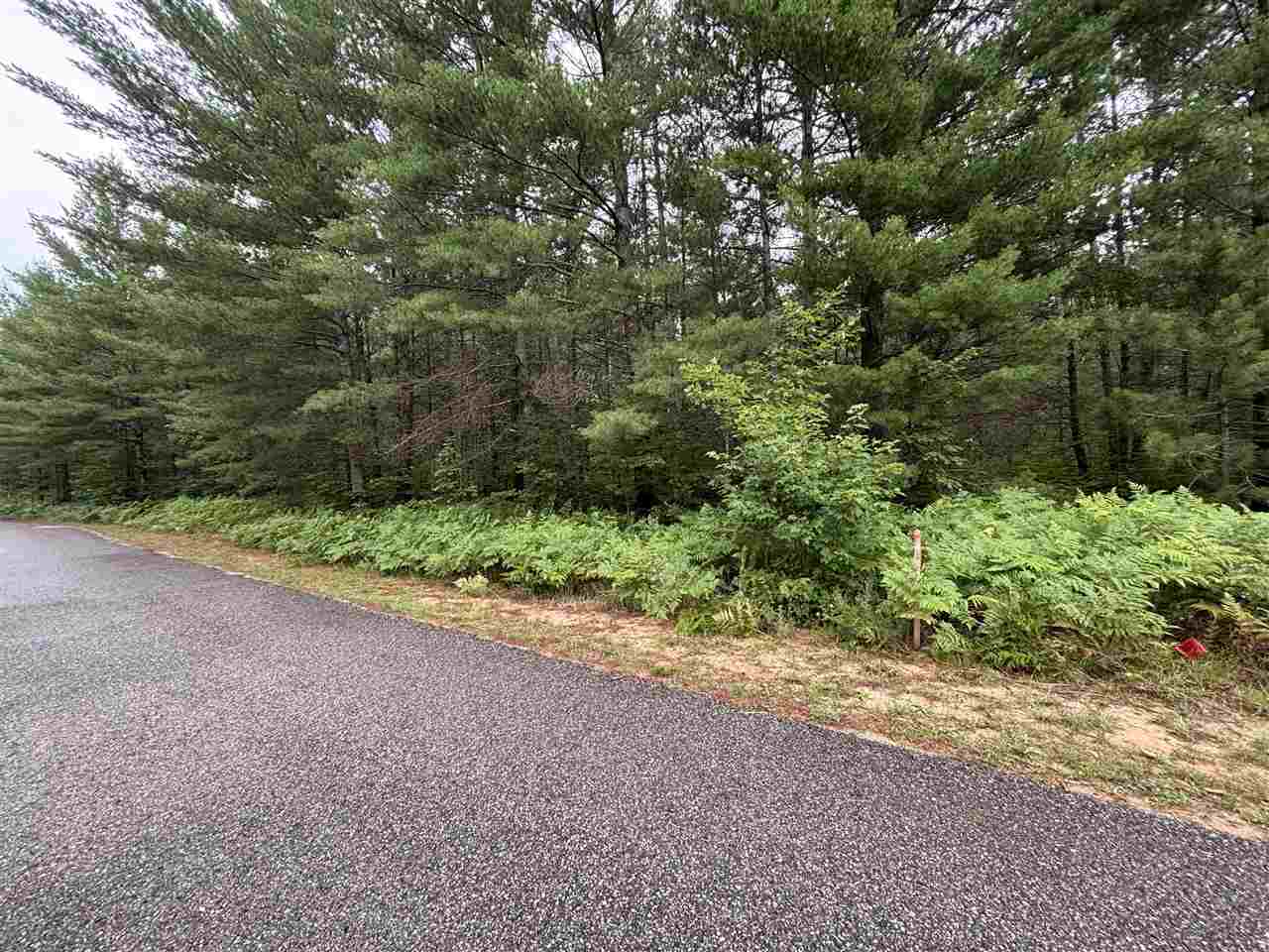 565 & 553 White Pine Drive Brutus MI 49716
