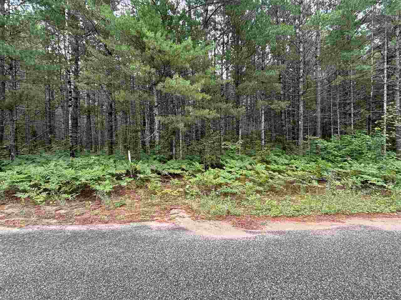 565 & 553 White Pine Drive Brutus MI 49716