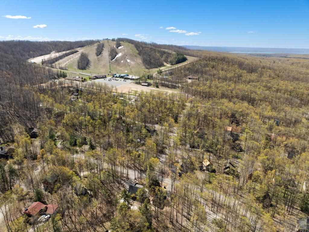 5310 Lauretian Drive Harbor Springs MI 49740