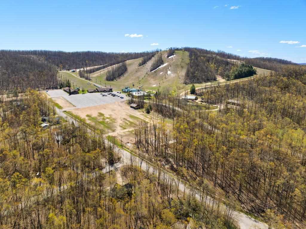 5310 Lauretian Drive Harbor Springs MI 49740