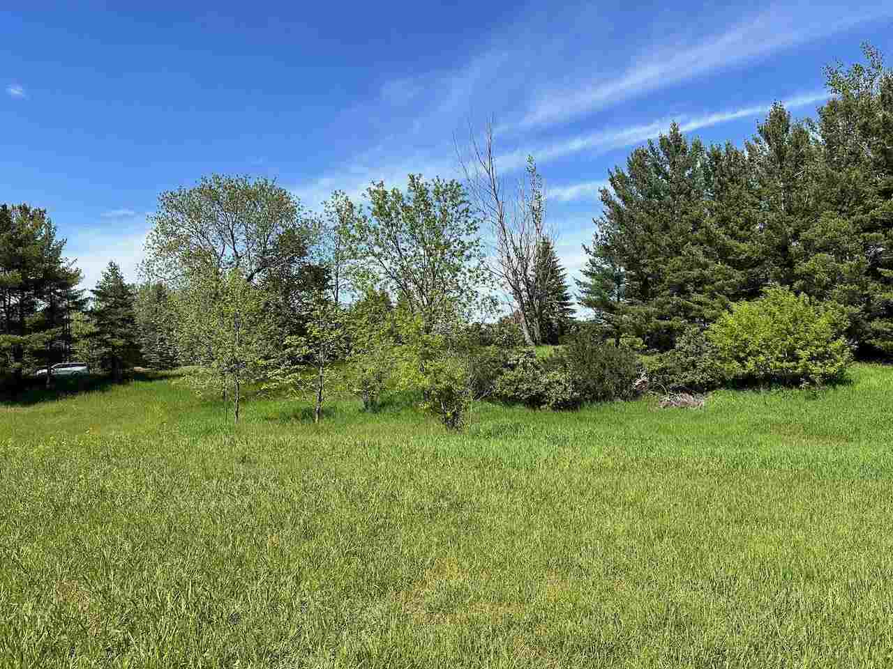 Lot 8 Schoolcraft Road Bellaire MI 49615