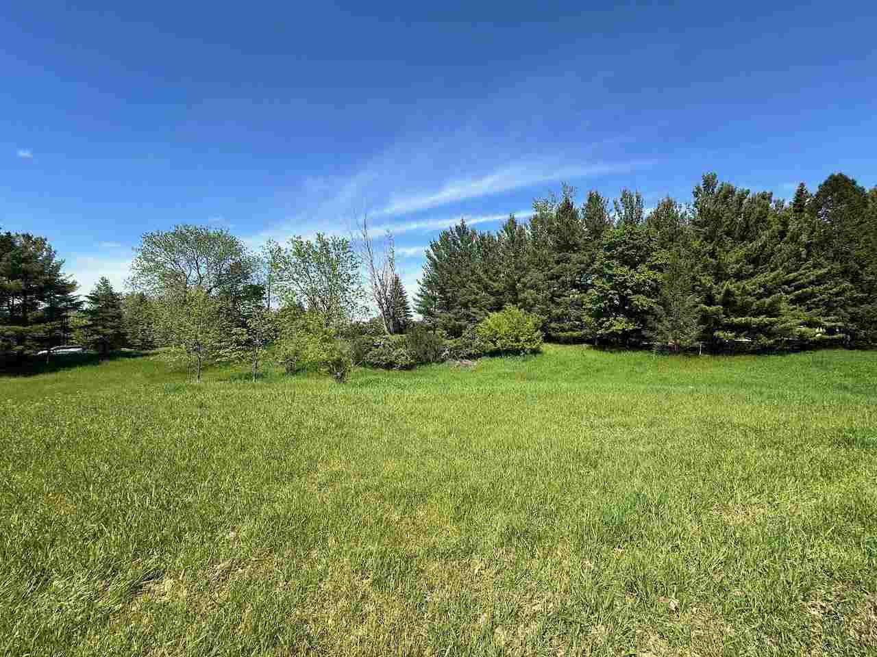 Lot 8 Schoolcraft Road Bellaire MI 49615