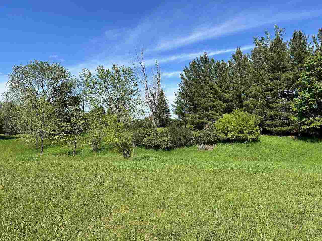 Lot 8 Schoolcraft Road Bellaire MI 49615