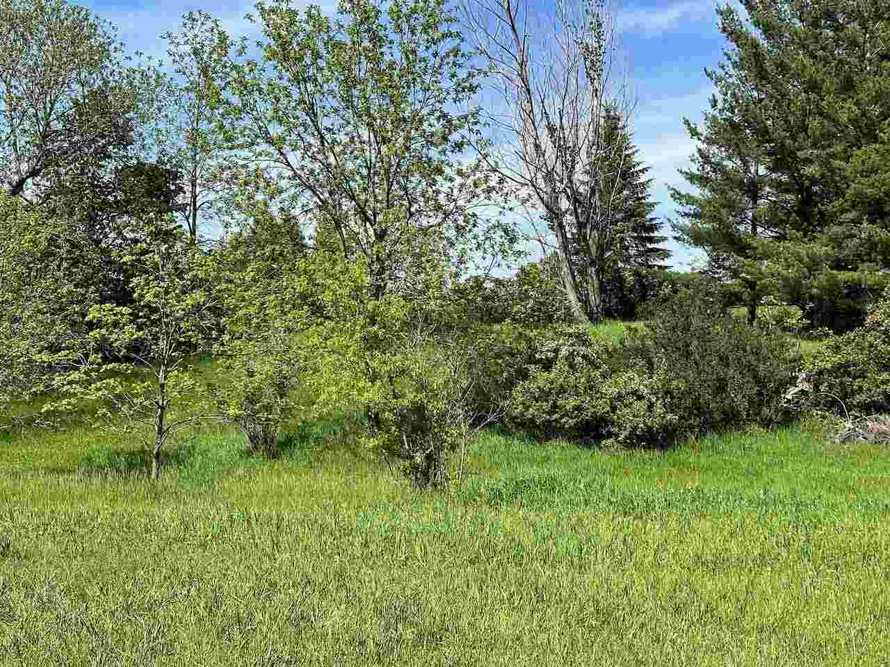 Lot 8 Schoolcraft Road Bellaire MI 49615