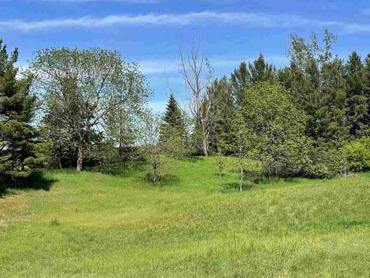 Lot 8 Schoolcraft Road Bellaire MI 49615