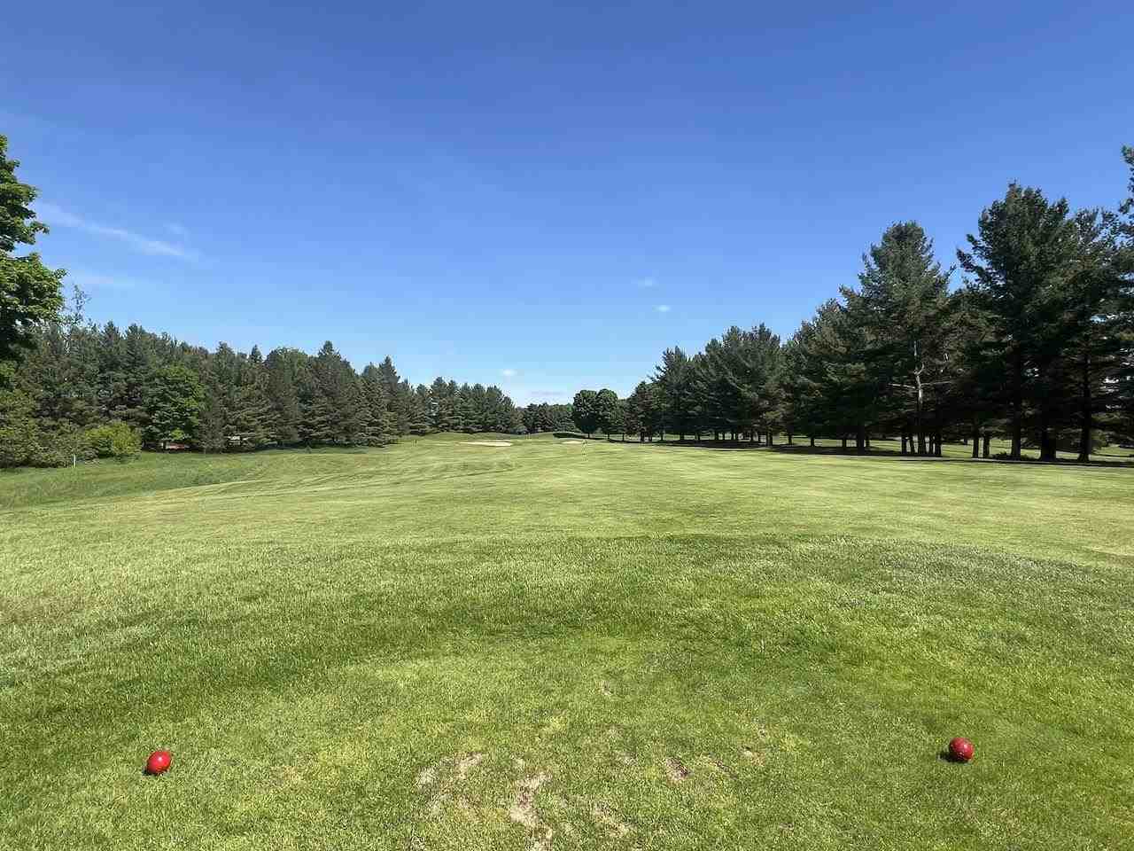 Lot 8 Schoolcraft Road Bellaire MI 49615