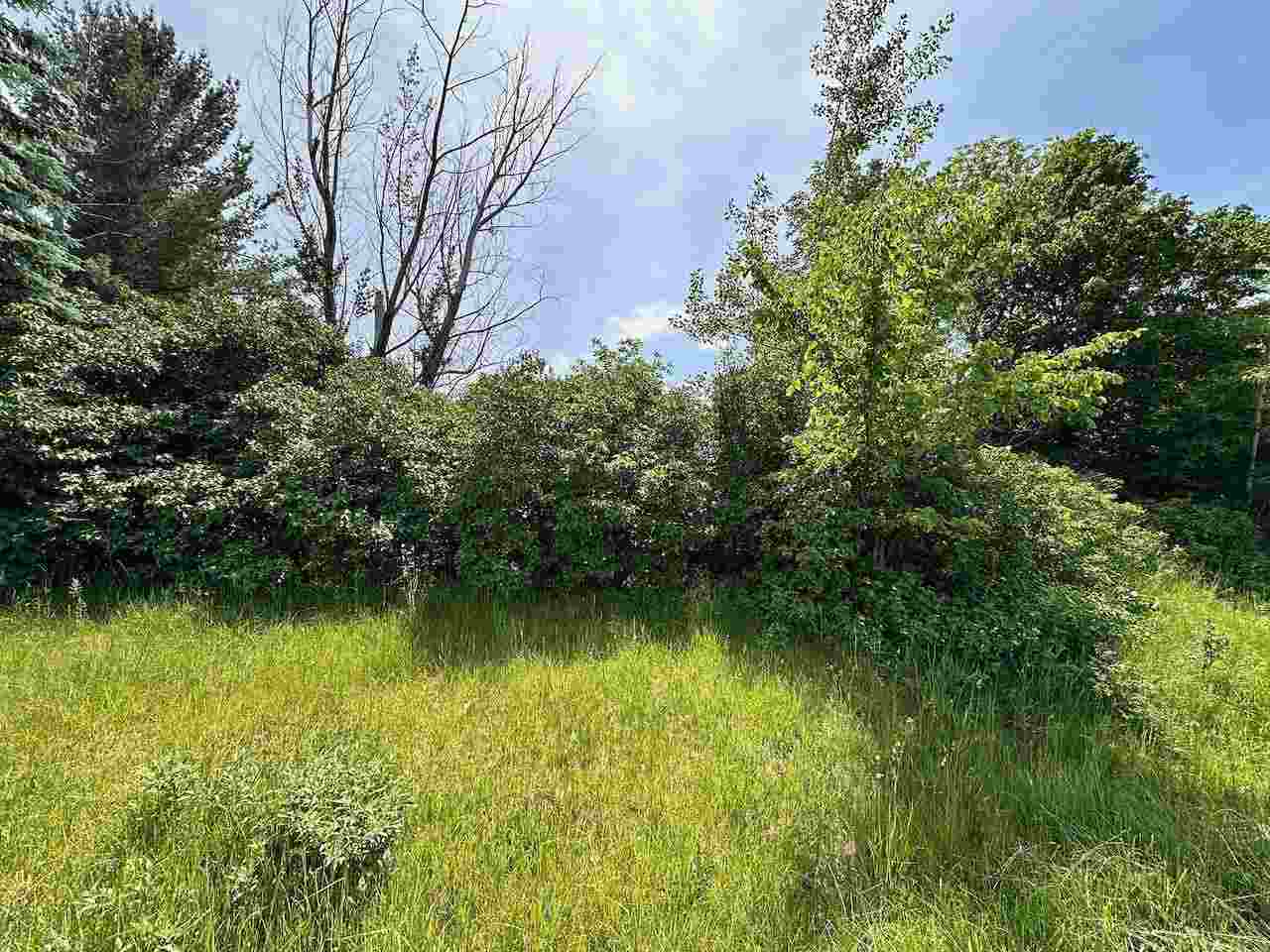 Lot 8 Schoolcraft Road Bellaire MI 49615