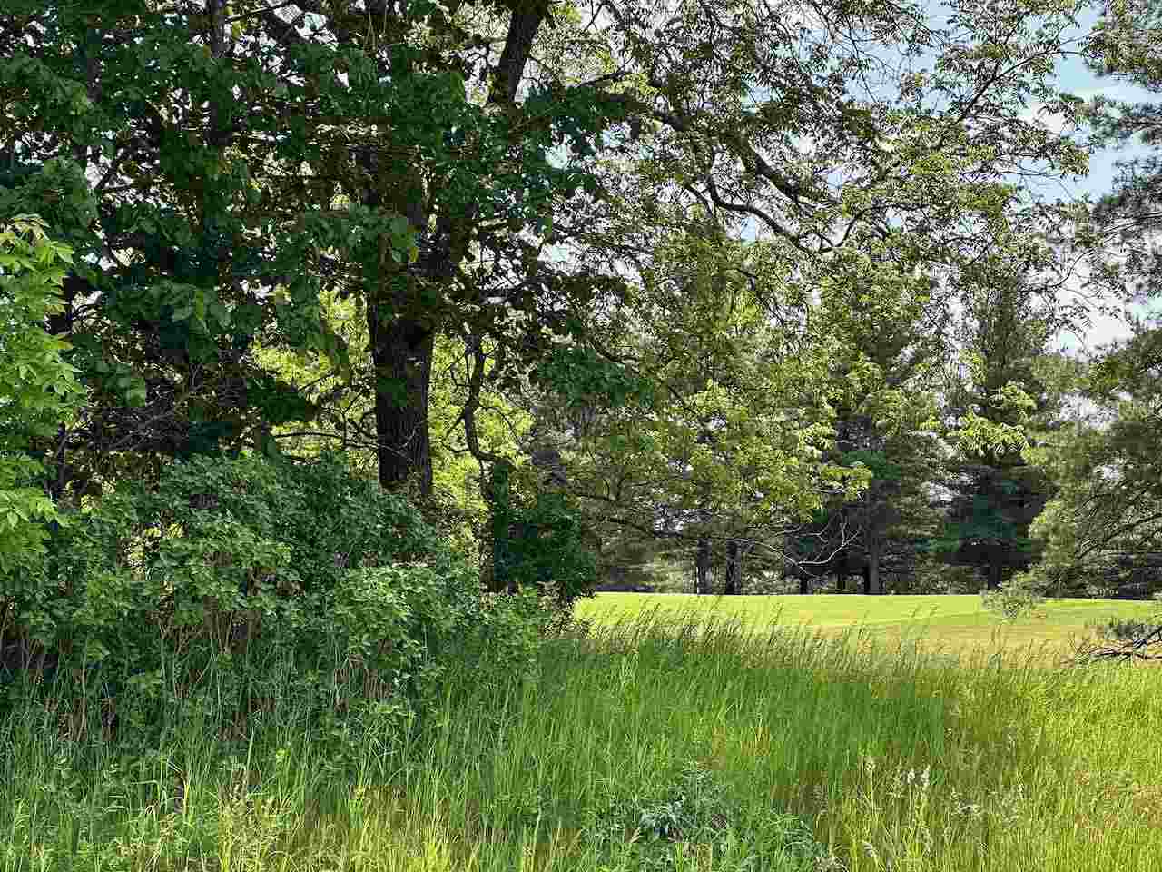 Lot 8 Schoolcraft Road Bellaire MI 49615