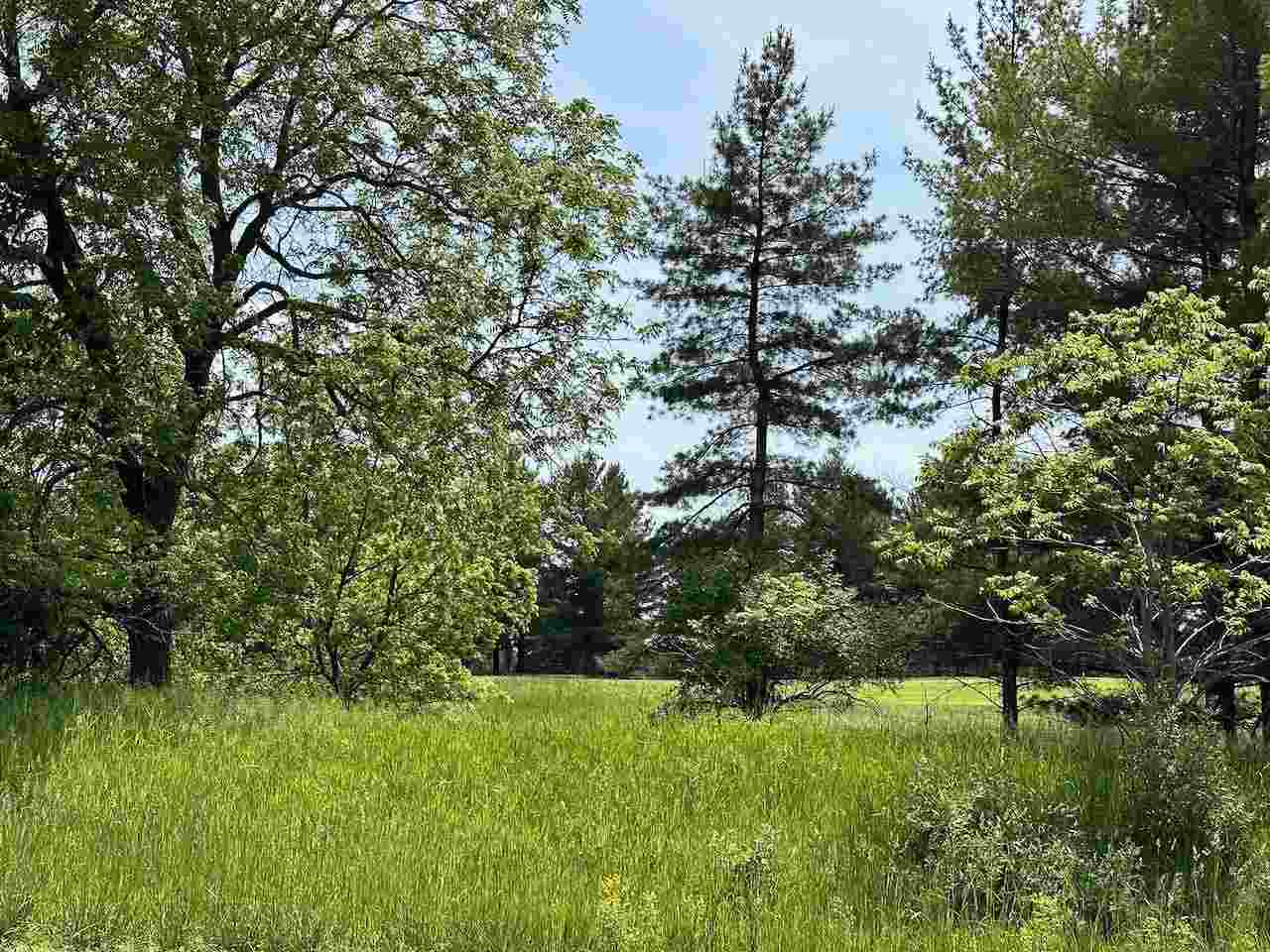 Lot 8 Schoolcraft Road Bellaire MI 49615