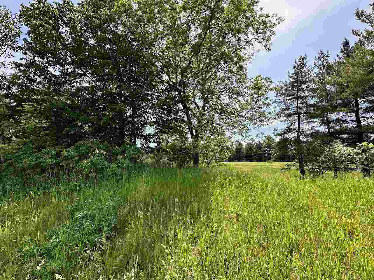 Lot 8 Schoolcraft Road Bellaire MI 49615