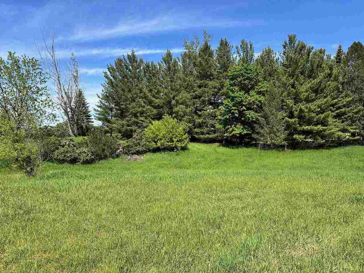 Lot 8 Schoolcraft Road Bellaire MI 49615