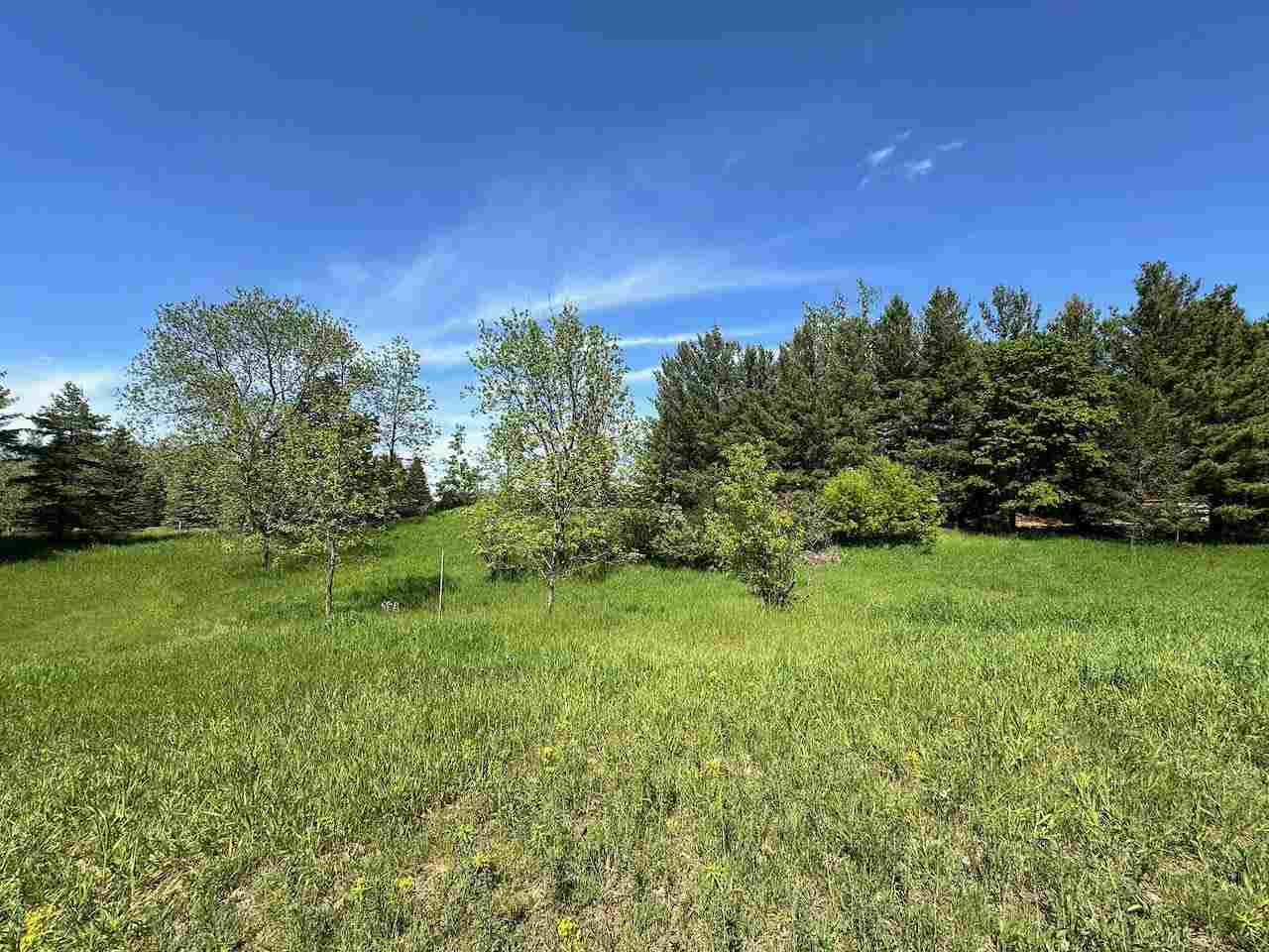 Lot 8 Schoolcraft Road Bellaire MI 49615