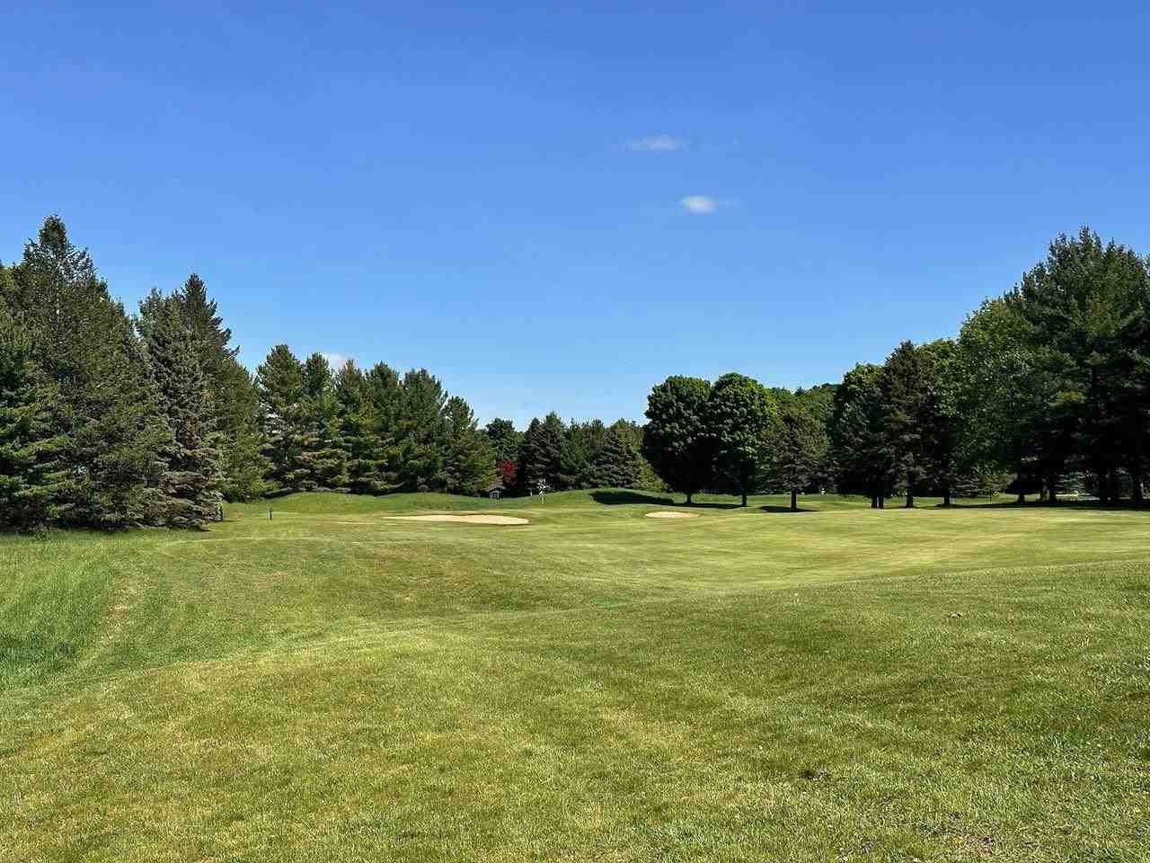 Lot 8 Schoolcraft Road Bellaire MI 49615