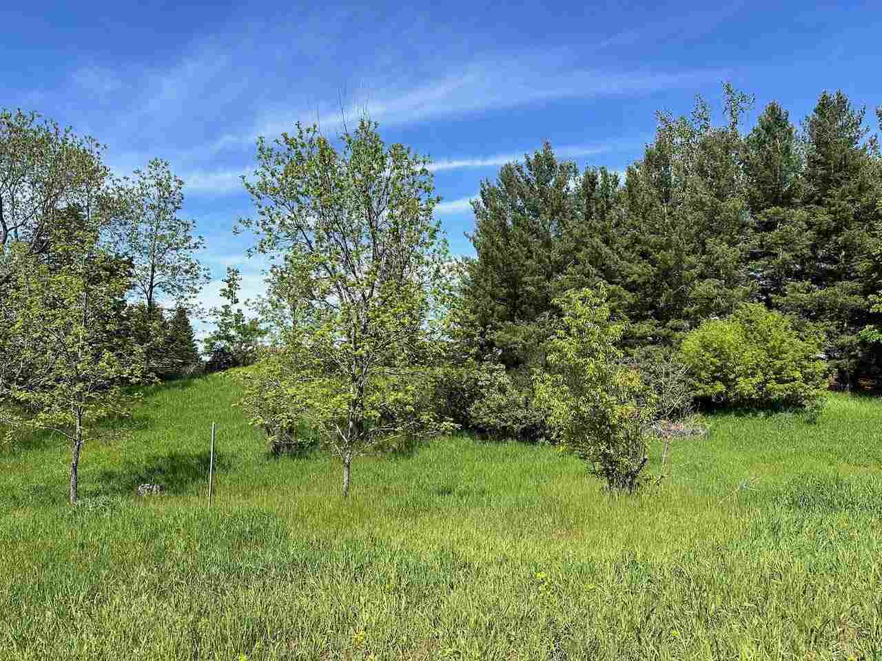 Lot 8 Schoolcraft Road Bellaire MI 49615