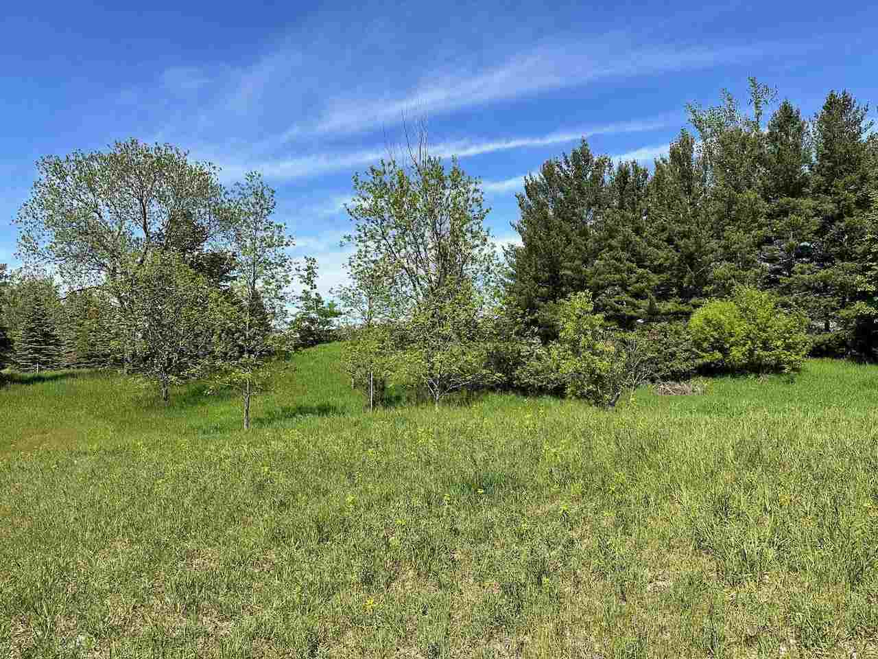 Lot 8 Schoolcraft Road Bellaire MI 49615