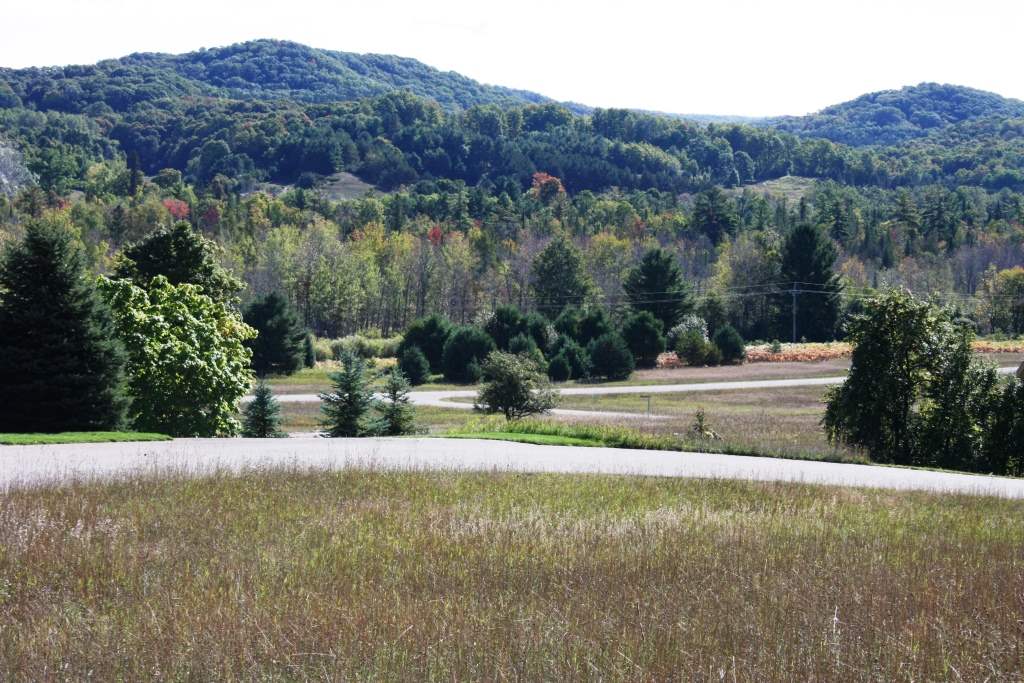 Tbd Alta Trail Boyne Falls MI 49713