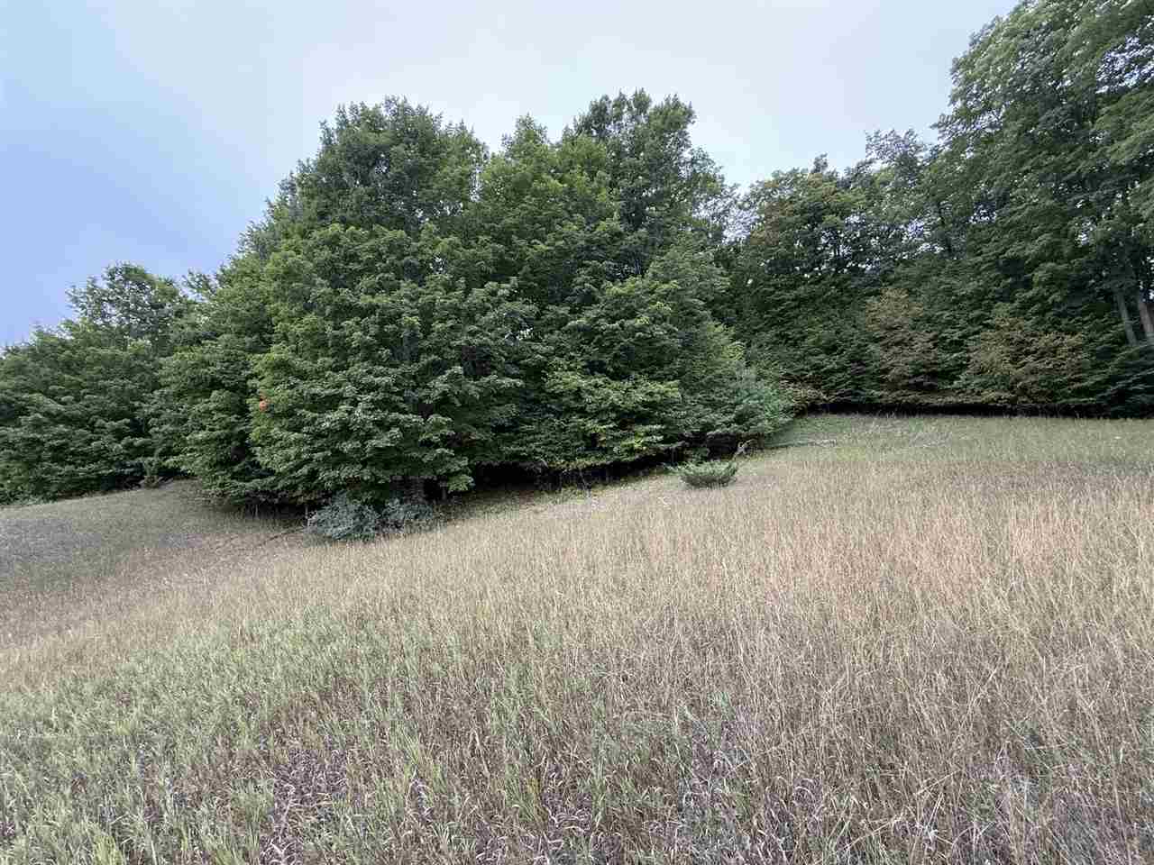 Tbd Alta Trail Boyne Falls MI 49713