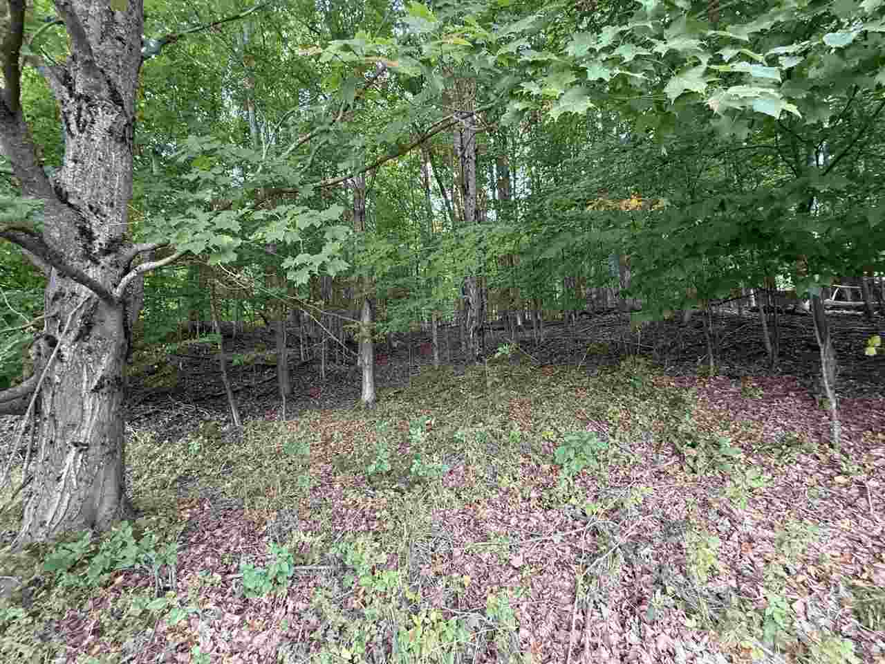 Tbd Alta Trail Boyne Falls MI 49713