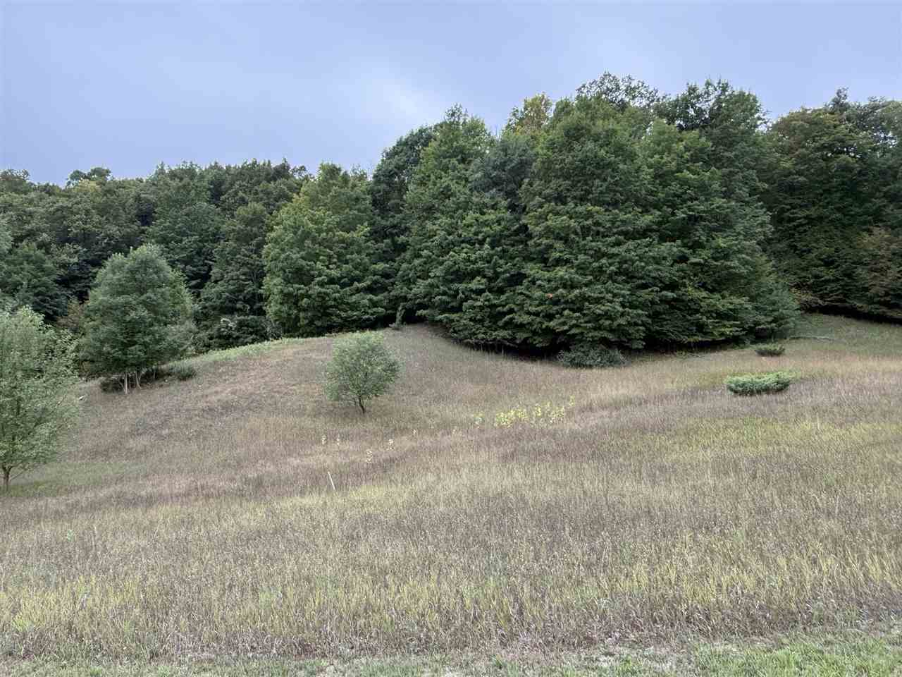 Tbd Alta Trail Boyne Falls MI 49713