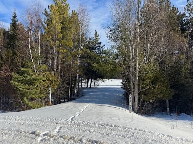 3928 S Us 131 Boyne Falls MI 49713
