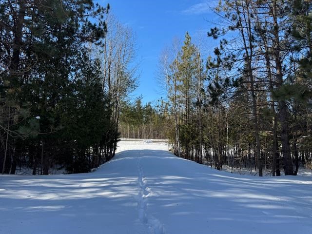 3928 S Us 131 Boyne Falls MI 49713