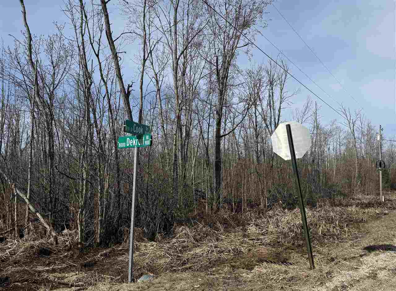 Tbd Dekruif Road Levering MI 49755
