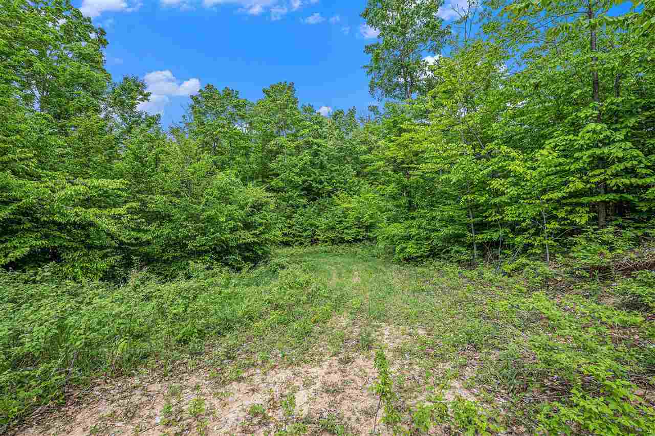 Lot 3 High Pines Trail Boyne City MI 49712