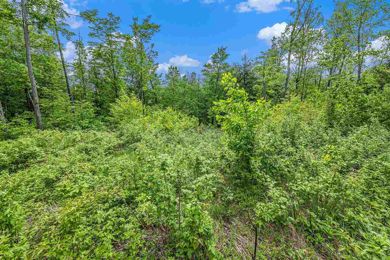 Lot 3 High Pines Trail Boyne City MI 49712