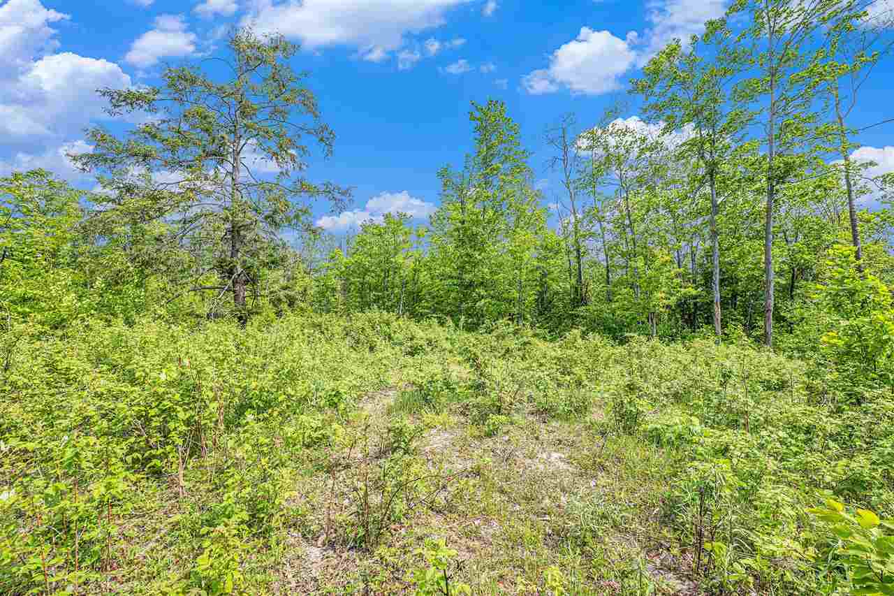 Lot 3 High Pines Trail Boyne City MI 49712