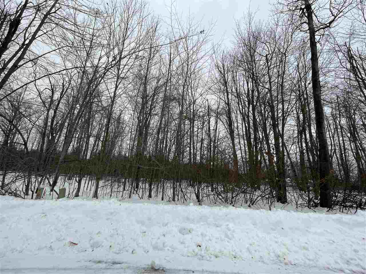 6167 Lambert Drive Alanson MI 49706