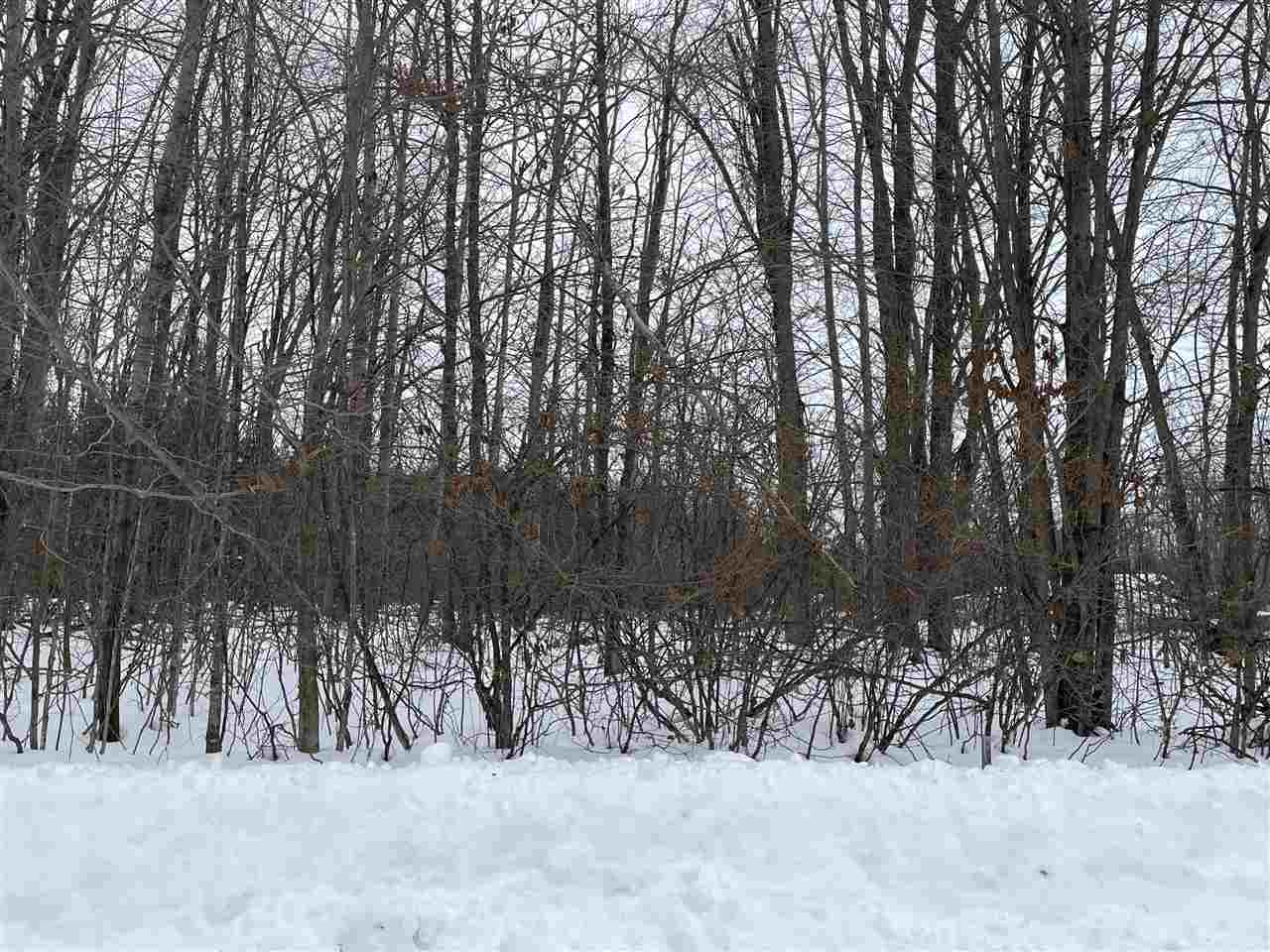 6167 Lambert Drive Alanson MI 49706