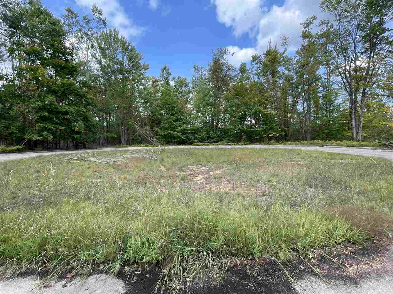 6167 Lambert Drive Alanson MI 49706