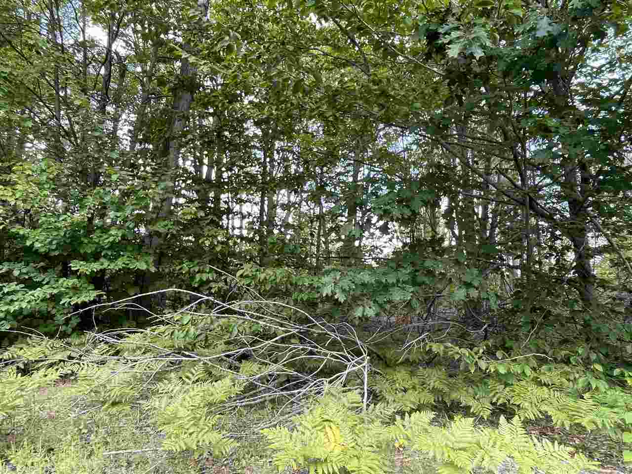 6167 Lambert Drive Alanson MI 49706