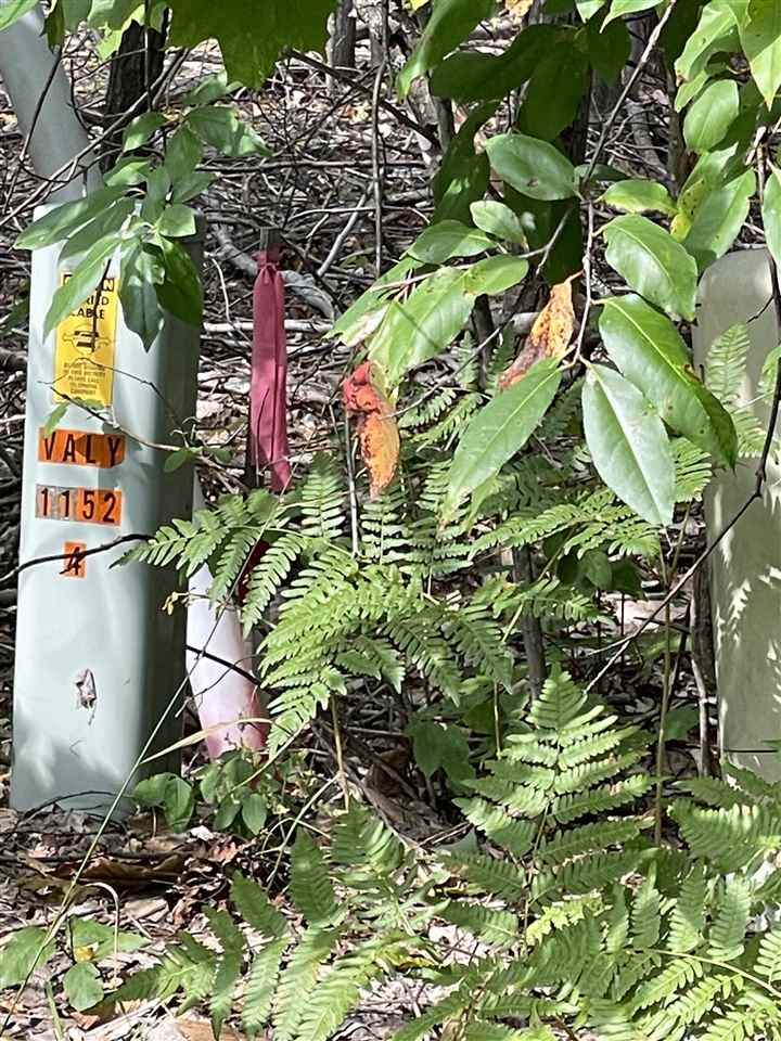 6167 Lambert Drive Alanson MI 49706