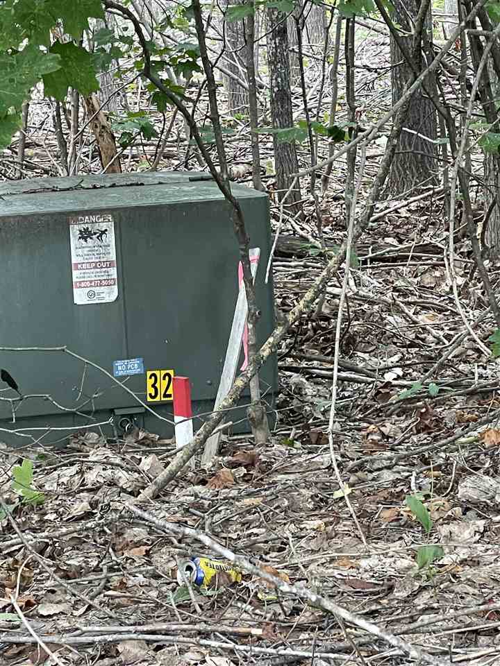 6167 Lambert Drive Alanson MI 49706