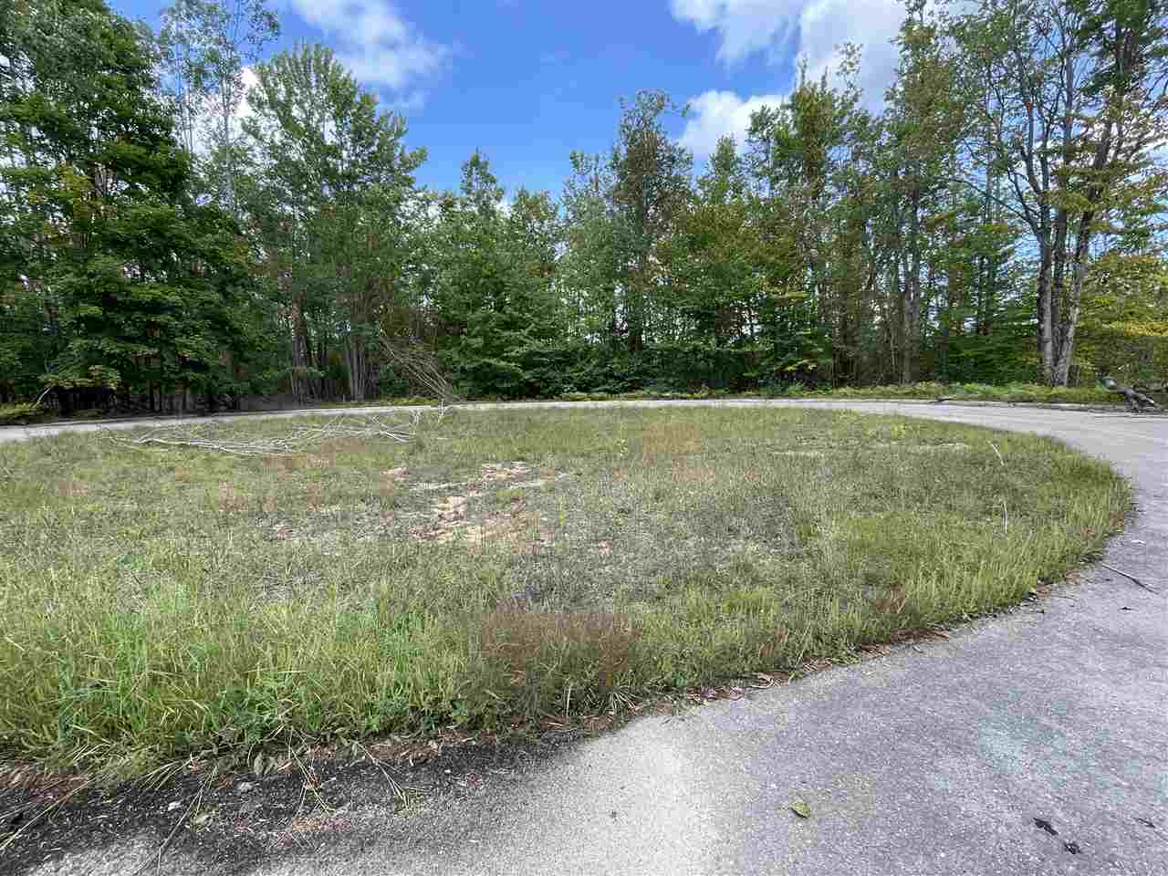 6167 Lambert Drive Alanson MI 49706