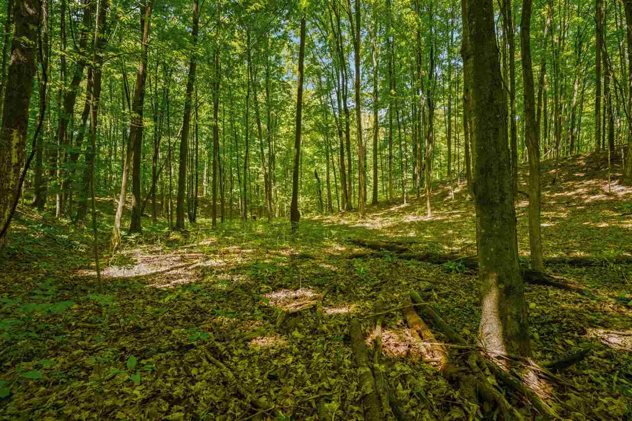 Tbd Marshall Road Boyne City MI 49727