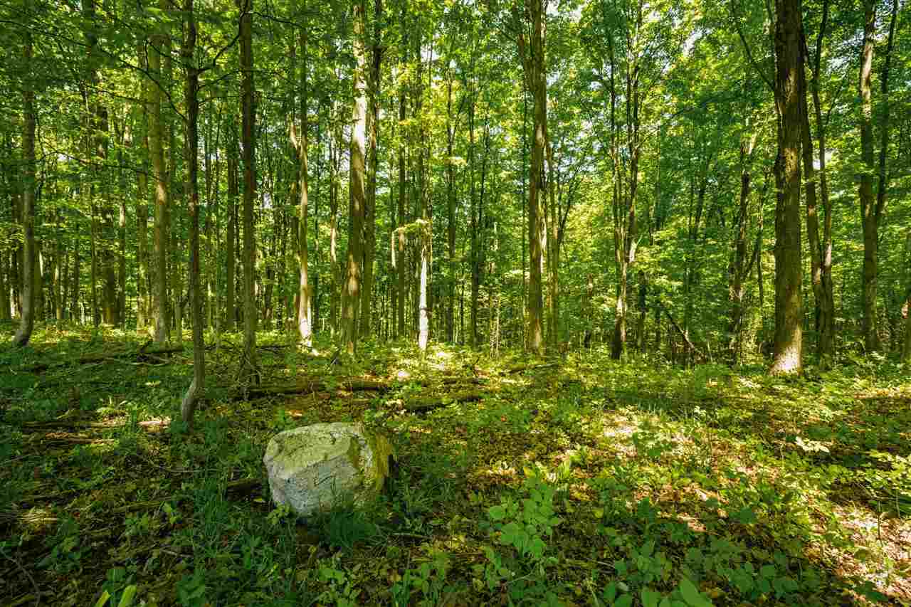 Tbd Marshall Road Boyne City MI 49727