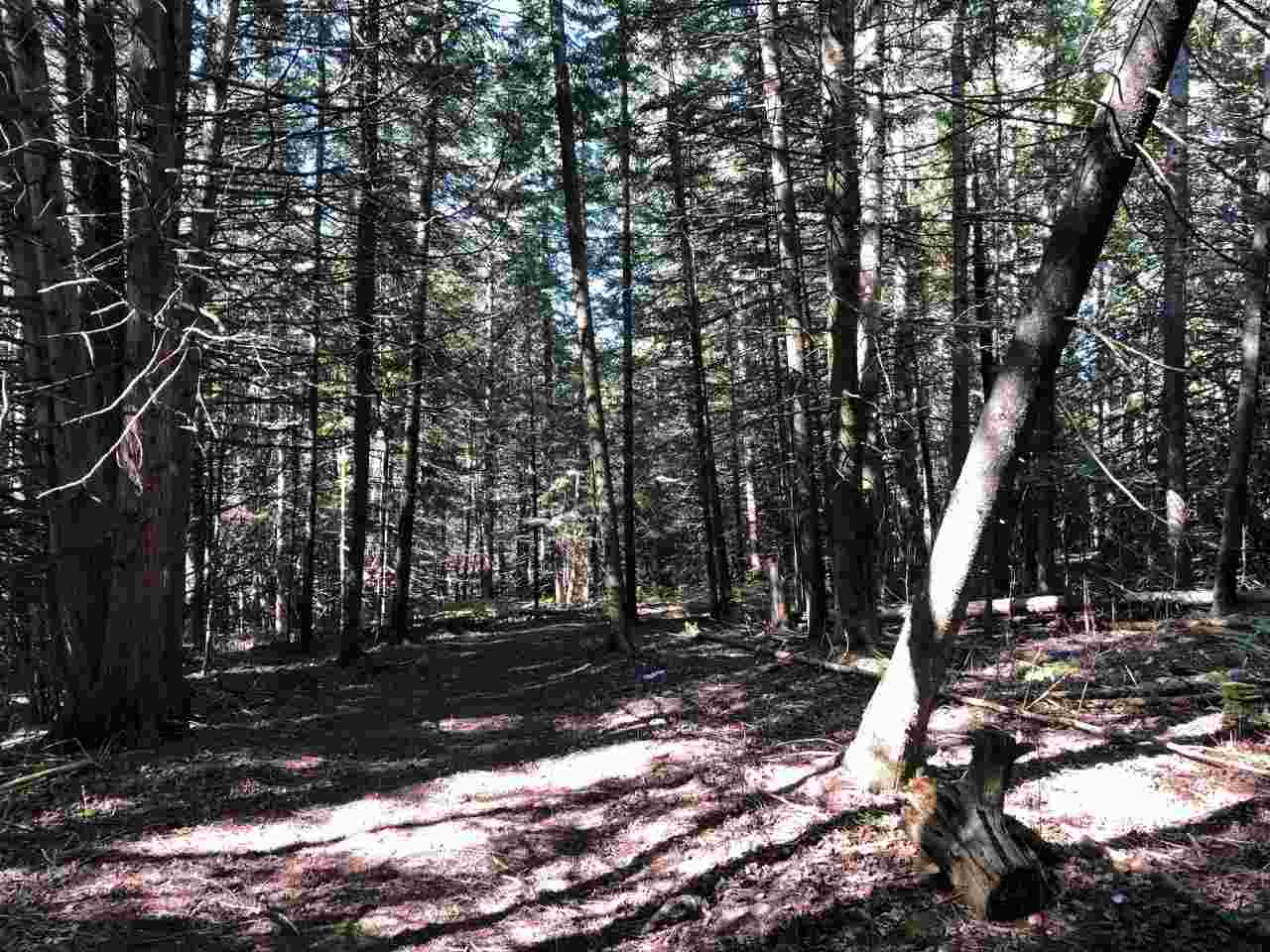 Tbd Banwell Road Alanson MI 49706