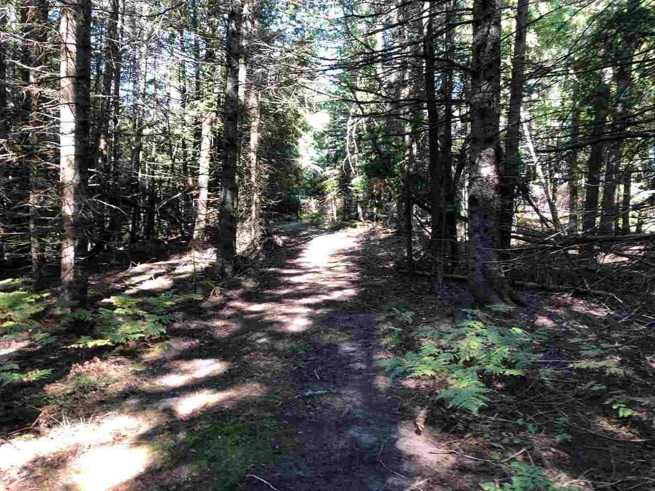 Tbd Banwell Road Alanson MI 49706