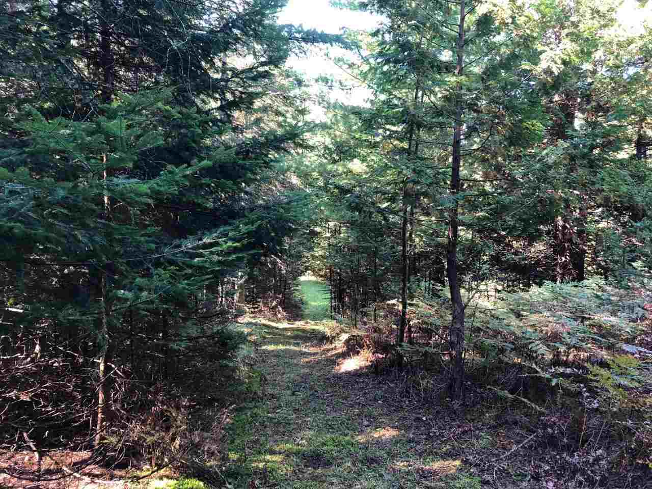 Tbd Banwell Road Alanson MI 49706